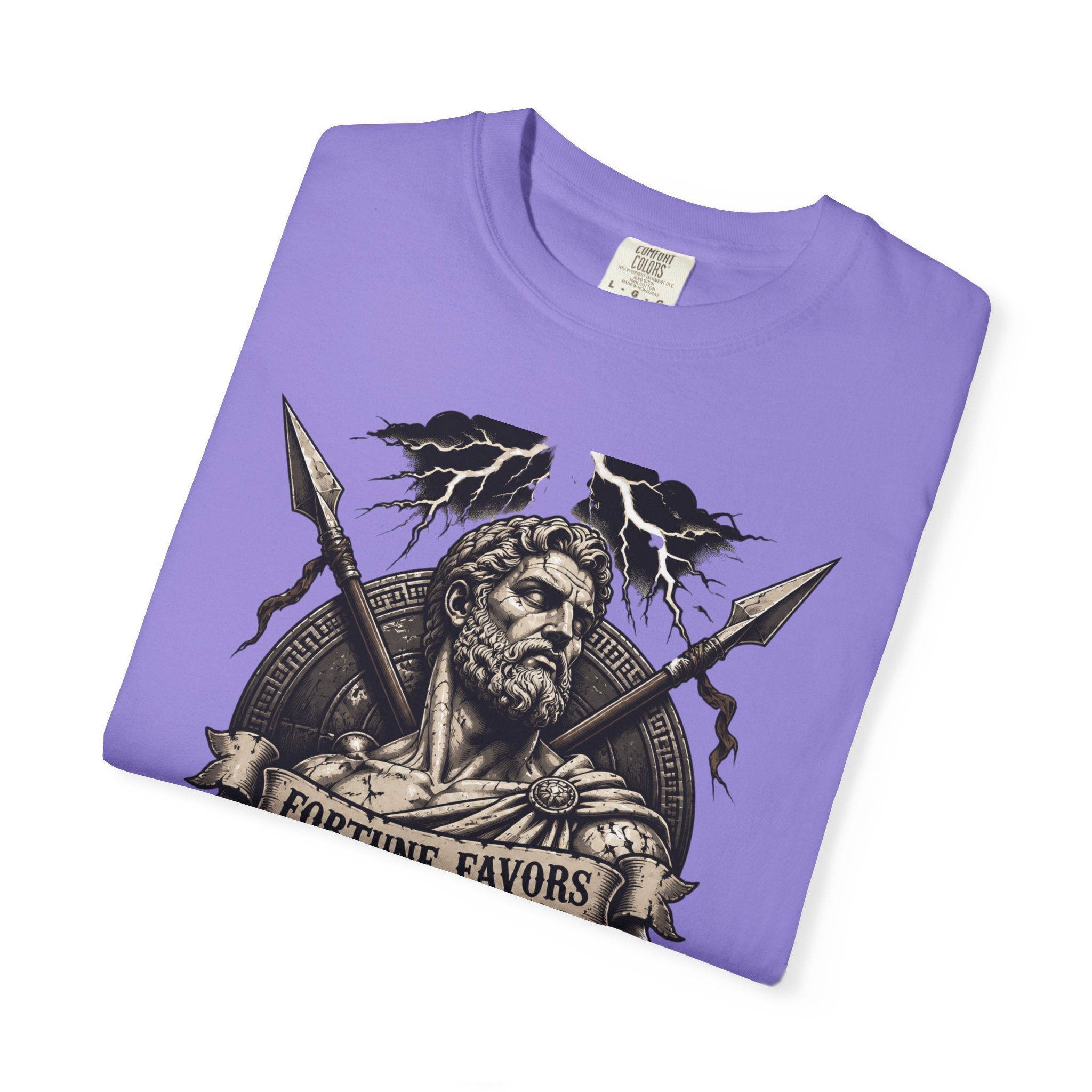 Fortune Favors The Bold T-Shirt